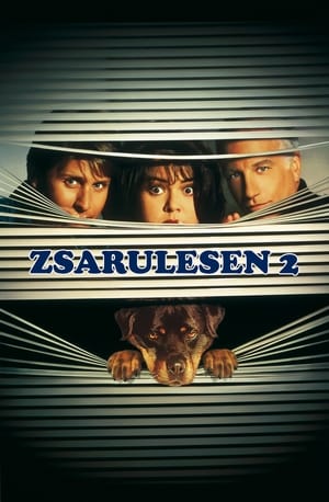Poster Zsarulesen 2. 1993
