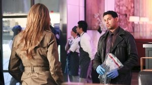 Castle Season 5 Episode 21