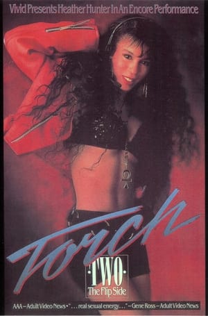 Poster Torch 2 (1991)