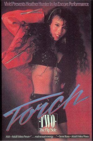 Poster Torch 2 (1991)