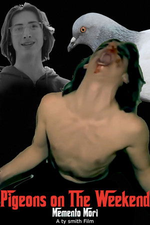 Pigeons on The Weekend