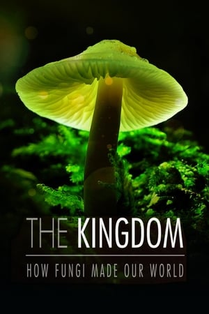 Poster The Kingdom: How Fungi Made Our World 2018