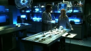 CSI – Scena del crimine 7 x 9