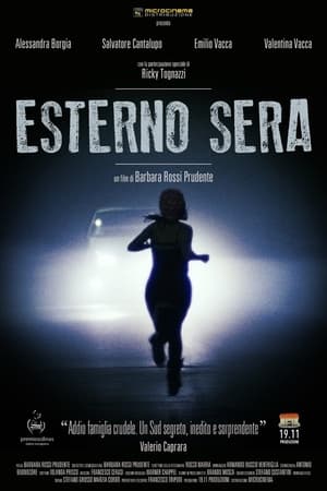 Esterno sera 2013