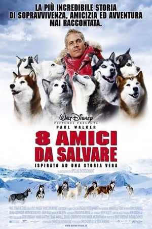 Poster di 8 amici da salvare