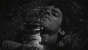 The Young and the Damned