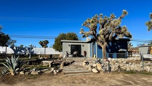 Desert Debacle to Dream Oasis
