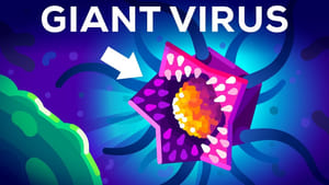 Kurzgesagt - In a Nutshell This Virus Shouldn't Exist (But it Does)