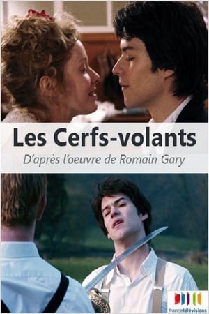 Poster Les Cerfs-volants 2007