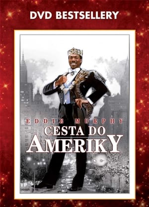 Image Cesta do Ameriky