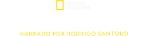Sobrevoando — Logos 1