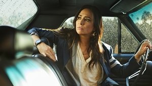 Better Things Season 6: Renewed or Cancelled?