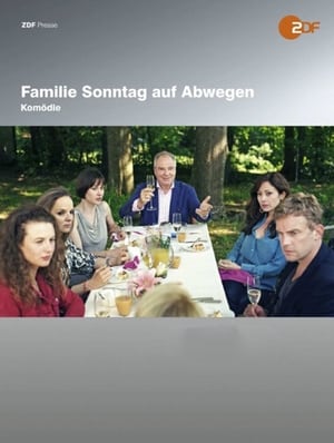 Familie Sonntag auf Abwegen poster