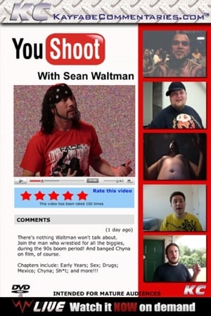 Poster YouShoot: Sean Waltman (2010)