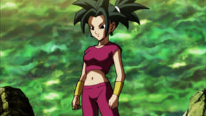 Dragon Ball Super: Season 1 Episode 114 –