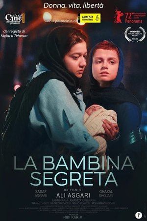 Image La bambina segreta
