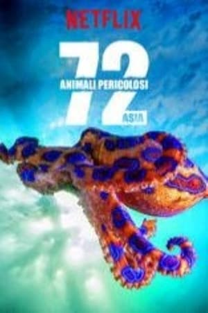 Poster 72 animali pericolosi: Asia 2018