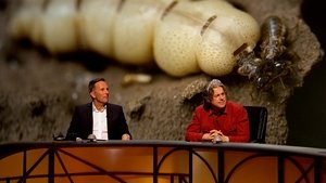 QI: Season17 – Episode14