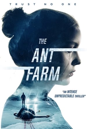 Image The Ant Farm