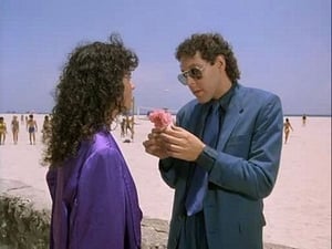 Miami Vice: 3×9