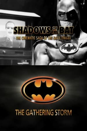 Image Shadows of the Bat: The Cinematic Saga of the Dark Knight - The Gathering Storm