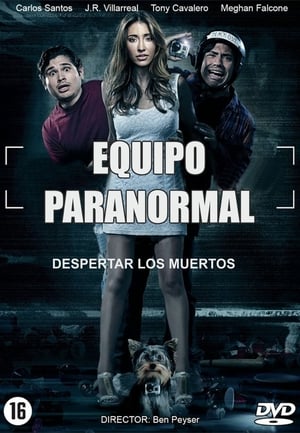 Poster Equipo paranormal 2013