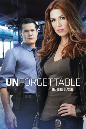 Unforgettable: Staffel 3