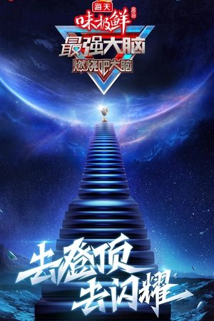 最强大脑 第八季 最强大脑 第八季