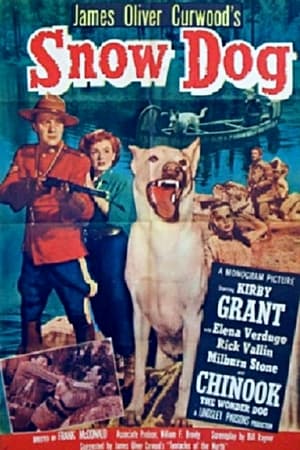 Poster Snow Dog 1950