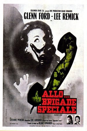 Image Allô... Brigade spéciale