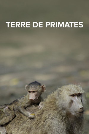 Terre des primates