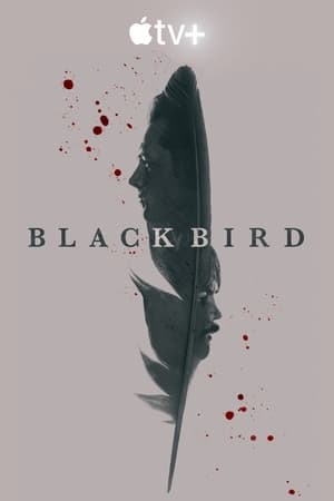 Black Bird 89