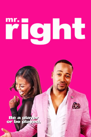 Mr. Right (2015) is one of the best movies like You Kill Me (2007)