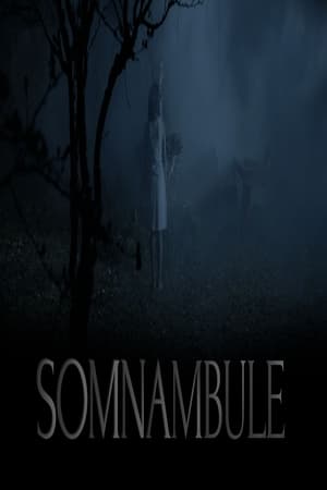 Poster Somnambule (2016)