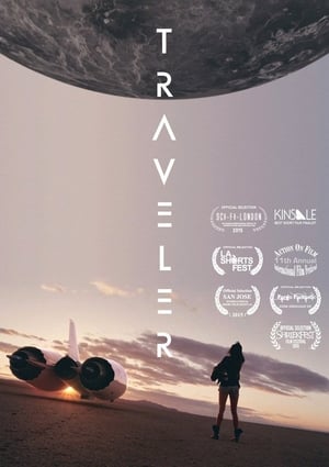 Poster Traveler (2015)