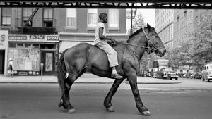 Finding Vivian Maier (2014)