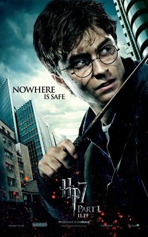 Poster Harry Potter a jeho 50 nej 2011