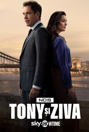 Image NCIS: Tony & Ziva