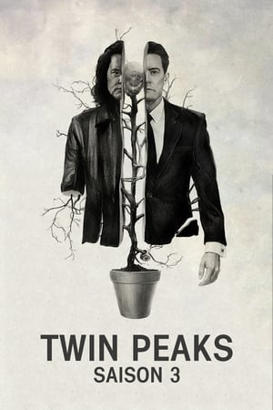 Twin Peaks: Saison 3 - Le retour