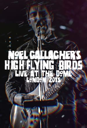 Image Noel Gallagher's High Flying Birds - Live at The Dome, London
