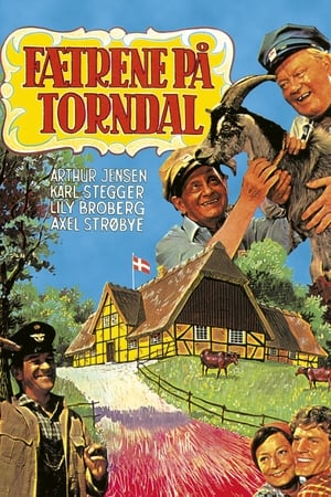 Poster Fætrene på Torndal (1973)