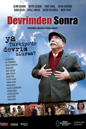 Poster Devrimden Sonra 2011