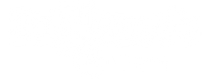 Dr. Havoc's Diary — Logos 1