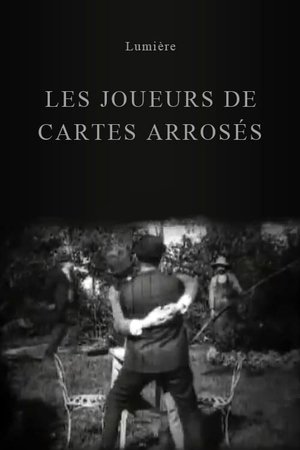 Nonton film Joueurs de cartes arrosés (1896) terbaru sub indo Nonton film Joueurs de cartes arrosés (1896) terbaru sub indo