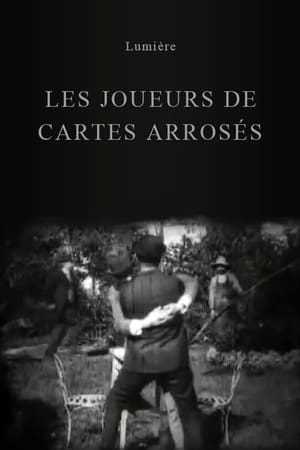 Image Joueurs de cartes arrosés