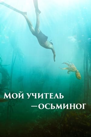 Image Мой учитель – осьминог