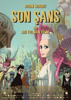 Son Şans (2013)