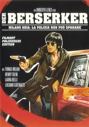 Poster Der Berserker 1974