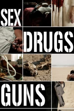 Poster Sex Drugs Guns 2009