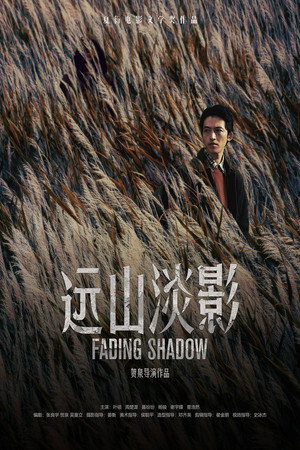 Fading Shadow